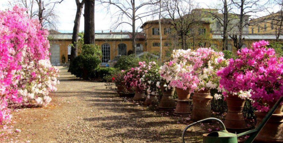 Orto Botanico Giardino dei Semplici - Università di Firenze, Italy
